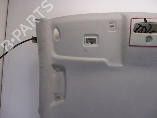 Interiør taket FORD FOCUS C-MAX (DM2) 2.0 TDCi | BP18793376I12 