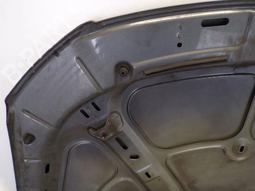 Hood VW PASSAT B6 (3C2) 2.0 TDI 4motion | BP21137264C1 