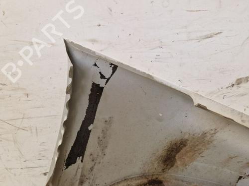 Left front fenders VW TIGUAN (5N_) 2.0 TDI 4motion | BP29105111C41 