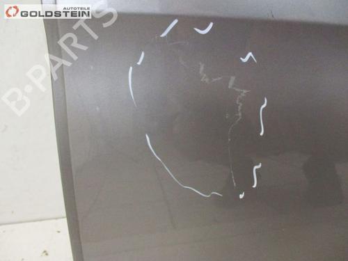 Left rear door SEAT TOLEDO III (5P2) 1.9 TDI | BP26647452C4 