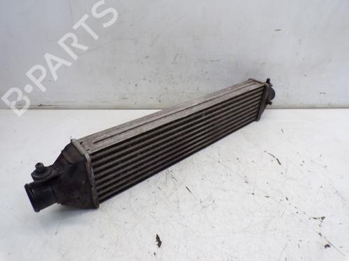 Used Intercooler ALFA ROMEO MITO (955_) 1.4 TJet (955AXG1A) (120 hp) 29101250