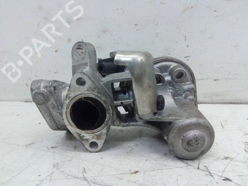 Egr FORD KUGA III (DFK) 2.5 Duratec PHEV | BP31702897M69 