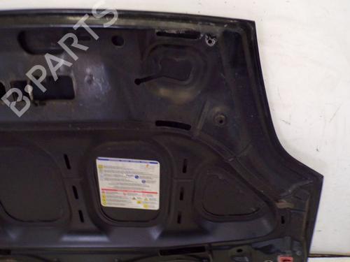 Hood FIAT GRANDE PUNTO (199_) 1.2 | BP29090468C1 