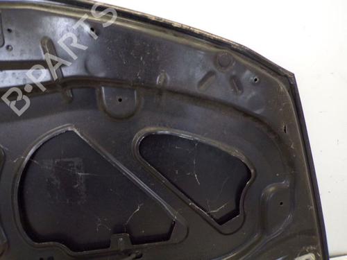 Hood RENAULT CLIO III (BR0/1, CR0/1) 1.2 16V (BR02, BR0J, BR11, CR02, CR0J, CR11) | BP29095382C1 
