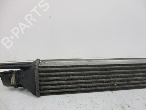 Intercooler FIAT GRANDE PUNTO (199_) 1.3 D Multijet | BP37116606M30 - Image 5