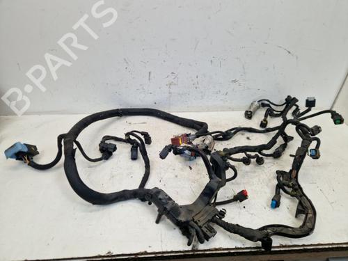 Ledningsnet Ledningsnet PEUGEOT EXPERT Van (VF3A_, VF3U_, VF3X_) 1.6 HDi 90 8V (90 hp) 33908216 33908216