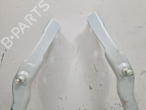 Hinge/Door check strap RENAULT AUSTRAL E-TECH 200 Hybrid (HGM2) | BP29108717C146 
