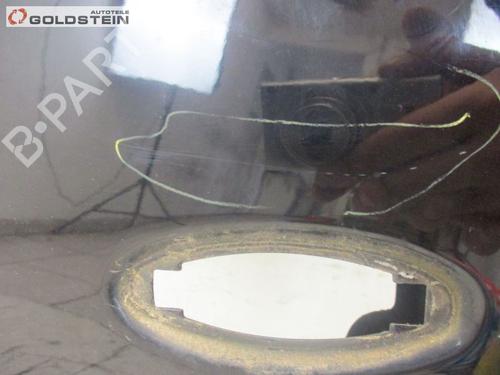 Forkjerm venstre JAGUAR S-TYPE II (X200) 2.7 D | BP18763652C41 