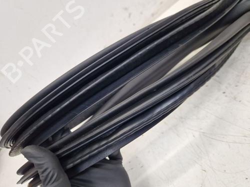 Rubber door seal RENAULT MEGANE E-TECH SUV EV60 (BNJ1) | BP29100786C142 