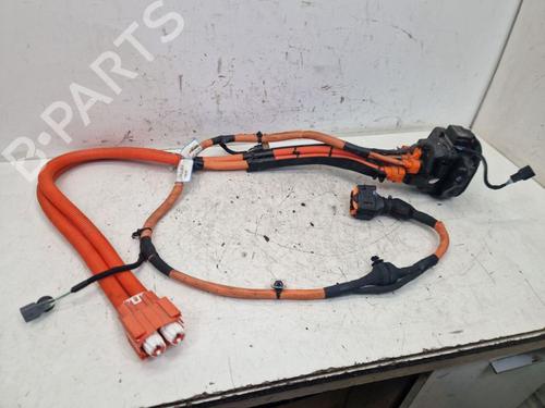 Ledningsnett RENAULT MEGANE E-TECH SUV EV60 (BNJ1) (218 hp) 29101008
