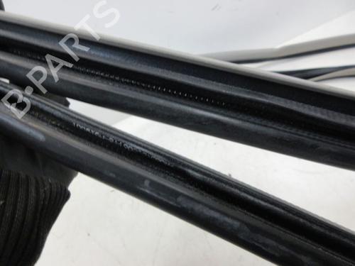 Rubber door seal TOYOTA PRIUS (_W3_) 1.8 Hybrid (ZVW3_) | BP29097054C142 