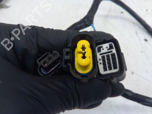 Wiring harness NISSAN QASHQAI III (J12) 1.5 VC-T e-Power | BP29105188E16 