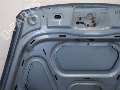 Hood VW TOUAREG (7LA, 7L6, 7L7) 5.0 V10 TDI | BP19296979C1 