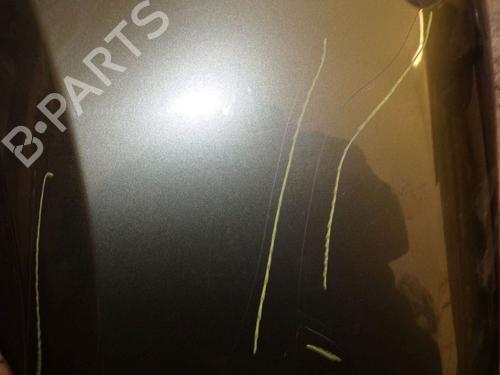 Left front fenders RENAULT CLIO III Grandtour (KR0/1_) 1.2 16V (KR02, KR0J) | BP29096675C41 