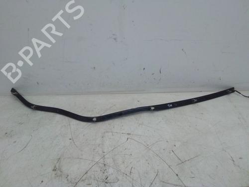 Gummiliste RENAULT AUSTRAL E-TECH 200 Hybrid (HGM2) | BP37138975C142 - Image 6