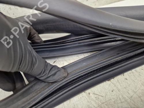 Rubber door seal DACIA SANDERO II 1.0 SCe 75 (B8JC, B8JD, B8NC) | BP29105596C142 