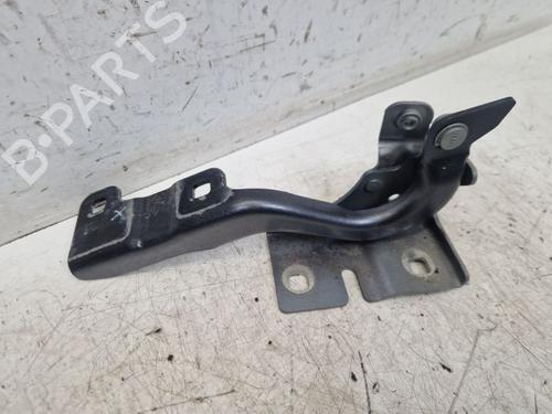 Hinge/Door check strap RENAULT MEGANE E-TECH SUV EV60 (BNJ1) | BP29100887C146 
