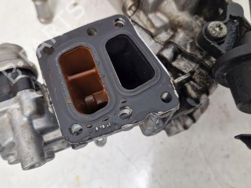 Water radiator FORD TRANSIT V363 Van (FCD, FDD) 2.0 EcoBlue | BP30439844M31