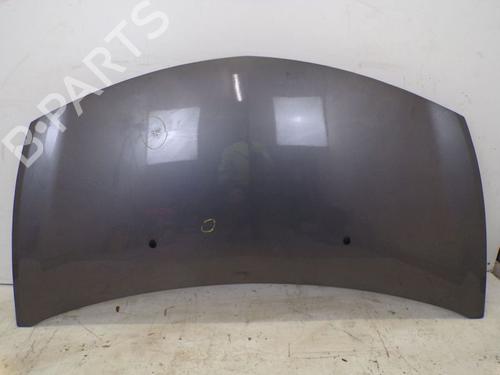 Used Hood RENAULT CLIO III (BR0/1, CR0/1) 1.2 16V (BR02, BR0J, BR11, CR02, CR0J, CR11) (75 hp) 18801650