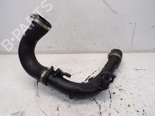 Pipe VW GOLF VI (5K1) 1.6 TDI | BP29099067M125 