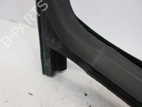Door moulding trim FIAT QUBO (225_) 1.4 (225AXA1A) | BP29088090C150
