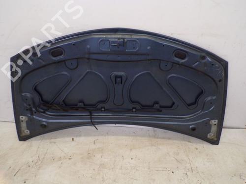 Hood RENAULT CLIO III (BR0/1, CR0/1) 1.2 16V (BR02, BR0J, BR11, CR02, CR0J, CR11) | BP18801650C1