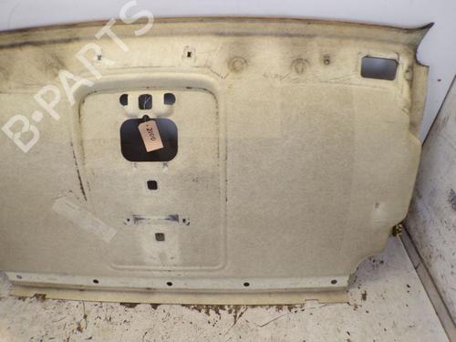 Interior roof IVECO DAILY III Van 29 L 12 V (ALKA41A2, ALLA52A2, ALKA42A2) | BP30668564I12 