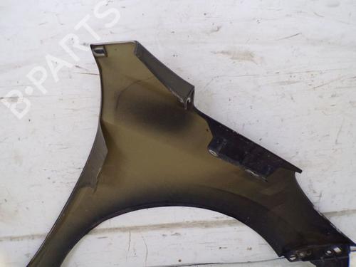 Left front fenders PEUGEOT 207 (WA_, WC_) 1.6 16V VTi | BP19298497C41 
