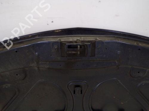 Hood RENAULT CLIO III (BR0/1, CR0/1) 1.6 16V (BR09, BR0T, CR09, CR0T) | BP29098067C1 