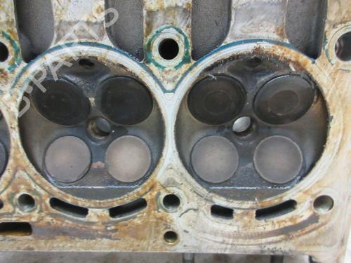 Cylinder head VW GOLF V (1K1) 1.6 FSI | BP29095055M5 