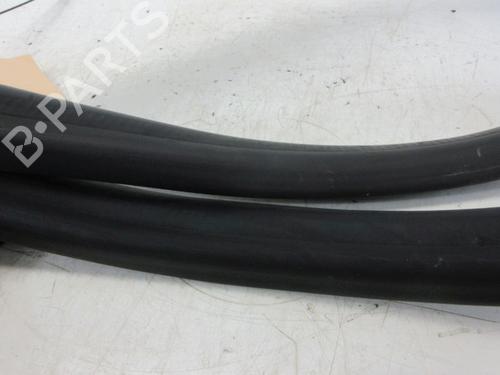 Gummiliste RENAULT ZOE (BFM_) ZOE | BP29098641C142