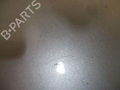 Hood OPEL SIGNUM Hatchback (Z03) 1.9 CDTI (F48) | BP18759429C1 