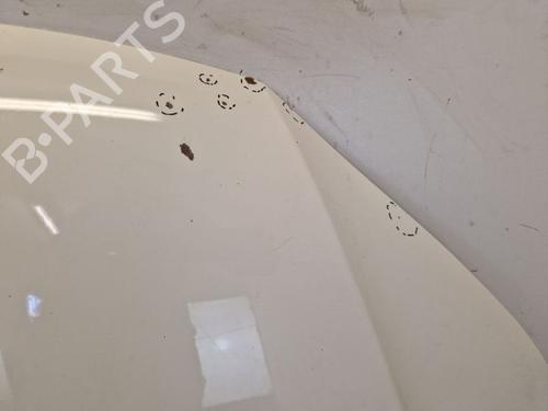 Hood VW TIGUAN (5N_) 2.0 TDI 4motion | BP29105054C1 