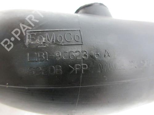 Pipe FORD FIESTA VII (HJ, HF) 1.0 EcoBoost mHEV | BP32661236M125 - Image 8