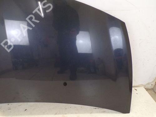 Hood RENAULT CLIO III (BR0/1, CR0/1) 1.6 16V (BR09, BR0T, CR09, CR0T) | BP29098067C1 