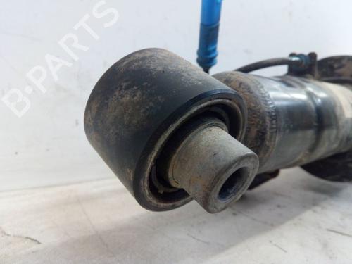 Right rear shock absorber BMW X5 (G05, F95) xDrive 40 i Mild-Hybrid | BP29109181M19 