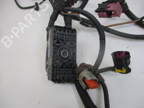 Wiring harness OPEL INSIGNIA A (G09) 2.0 CDTI (68) | BP30085003E16 