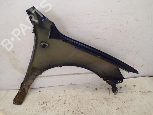 Left front fenders HYUNDAI SANTA FÉ II (CM) 2.2 CRDi GLS 4x4 | BP30668094C41