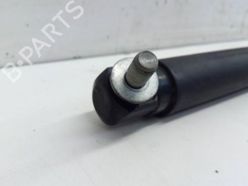 Tailgate lift support BMW X5 (E70) xDrive 30 i | BP29102898C138 
