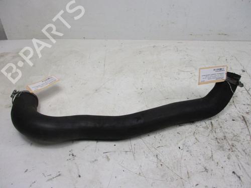 Pipe LAND ROVER DISCOVERY III (L319) 2.7 TD 4x4 | BP18795828M125 