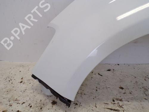 Left front fenders DACIA SANDERO 1.4 (BS0C, BS0A, BS0G, BS1F, BS0E) | BP29095129C41 