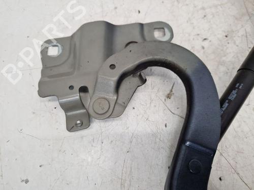 Hinge/Door check strap RENAULT ZOE (BFM_) ZOE (BFMD) | BP29105944C146 