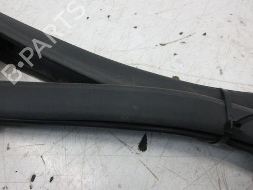 Gummiliste RENAULT ZOE (BFM_) ZOE | BP29099251C142