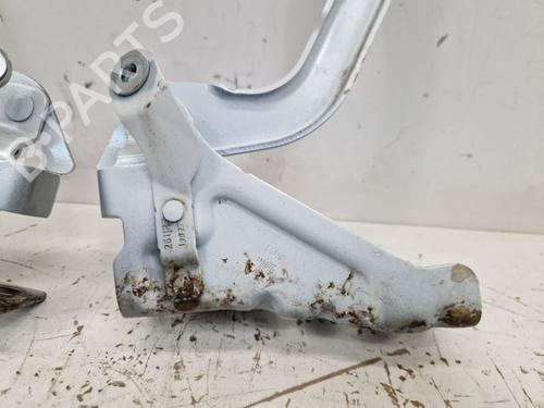 Hinge/Door check strap RENAULT AUSTRAL E-TECH 200 Hybrid (HGM2) | BP29108717C146 