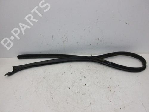 Gummiliste RENAULT ZOE (BFM_) ZOE | BP29099251C142