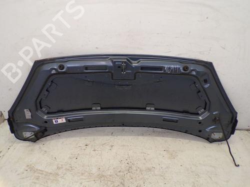 Hood PEUGEOT 1007 (KM_) 1.4 | BP29087472C1 