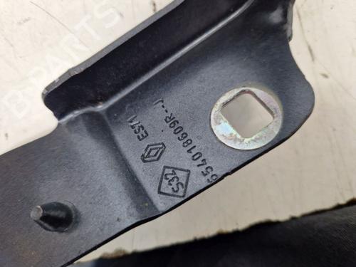 Hinge/Door check strap RENAULT ZOE (BFM_) ZOE (BFMD) | BP29105944C146 
