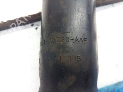 Right rear shock absorber FORD C-MAX II (DXA/CB7, DXA/CEU) 1.6 TDCi | BP29106597M19 