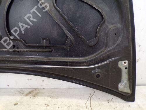 Hood RENAULT CLIO III (BR0/1, CR0/1) 1.2 16V (BR02, BR0J, BR11, CR02, CR0J, CR11) | BP29085813C1 