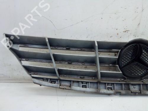 Grille MERCEDES-BENZ A-CLASS (W169) A 200 CDI (169.008, 169.308) | BP29106898C40 